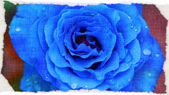 【孕期B超做多了对胎儿有辐射吗一周做几次安全】